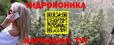 дживик Нальчик