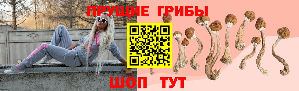 Псилоцибиновые грибы ЛСД  Вход с VPN  Псилоцибиновые грибы Psilocybine cubensis  Старая Купавна 